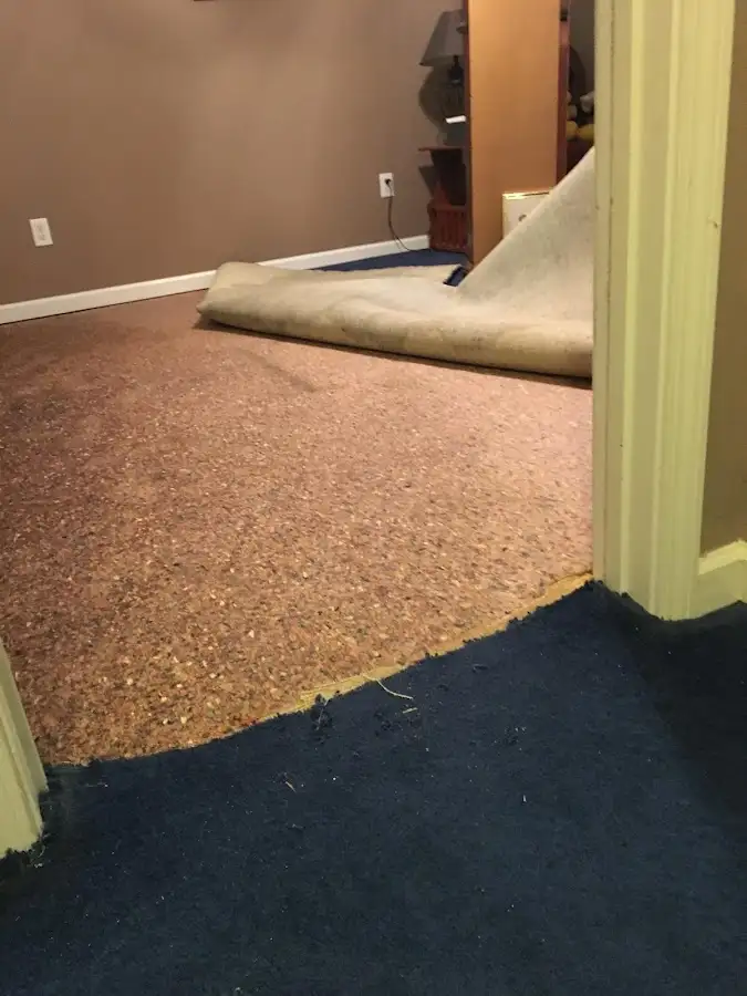 Carpet pad removal revealing water damage during Drying & Dehumidification in Tuckahoe