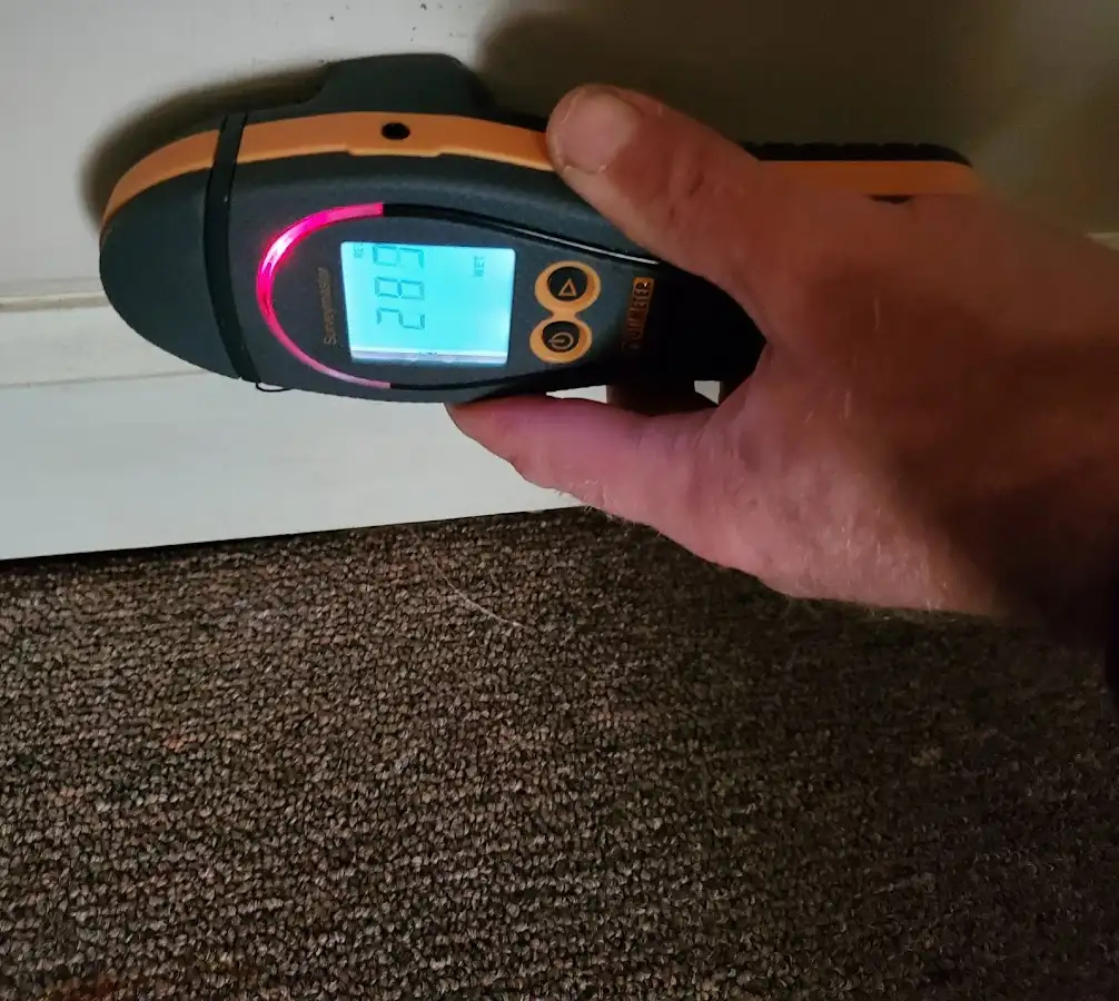 Moisture detection at baseboard during Mold Inspection & Testing in Tuckahoe